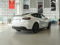 Model Y 图片