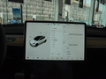 Model Y 图片
