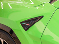 Urus 图片
