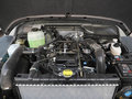 212 T01 图片