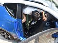 小蚂蚁 图片