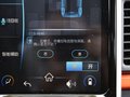 小蚂蚁 图片