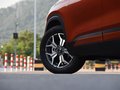 赛图斯 图片