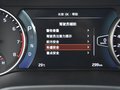 赛图斯 图片