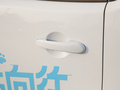 欧拉白猫 图片