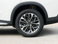上汽大通MAXUS D60 图片