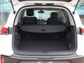 上汽大通MAXUS D60 图片