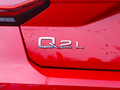 奥迪Q2L e-tron 图片