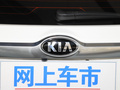 赛图斯 图片