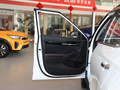赛图斯 图片