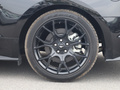 Mustang 图片