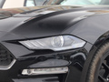 Mustang 圖片