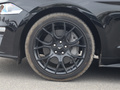 Mustang 圖片