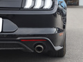 Mustang 图片