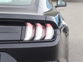 Mustang 圖片