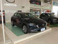 馬自達(dá)CX-30 圖片