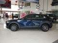 馬自達(dá)CX-30 圖片