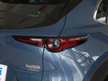 馬自達(dá)CX-30 圖片