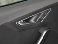 奥迪Q2L e-tron 图片