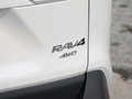 RAV4榮放 圖片