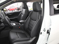 RAV4榮放 圖片
