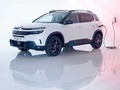 天逸 C5 AIRCROSS 图片