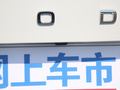 柯迪亚克 图片