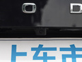 柯迪亚克 图片