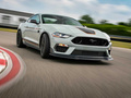 Mustang 圖片