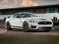 Mustang 圖片