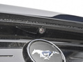 Mustang 圖片