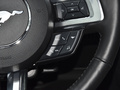 Mustang 圖片