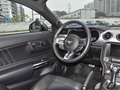 Mustang 圖片