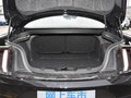 Mustang 圖片