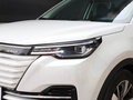長(zhǎng)安新能源CS55 純電版 圖片
