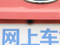 小蚂蚁 图片