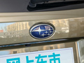 傲虎 图片