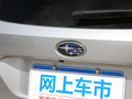 傲虎 图片
