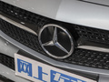 奔驰C级(进口) 图片