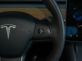 Model Y 图片