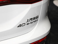 奥迪Q5 e-tron 图片