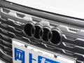 奥迪Q5 e-tron 图片