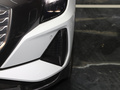 奥迪Q5 e-tron 图片