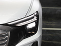 奥迪Q5 e-tron 图片