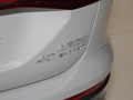 奥迪Q5 e-tron 图片