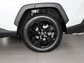 RAV4荣放 图片