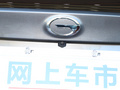 影豹 图片