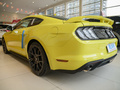 Mustang 图片