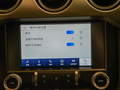 Mustang 圖片