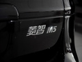 菱智 图片